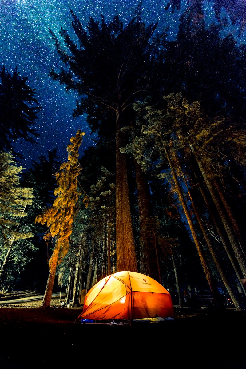 Glowing orange tent among tall pine trees under a star-filled night sky in a forest campsite